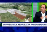 Strategi Kementan Salurkan Benih Unggul ke Petani