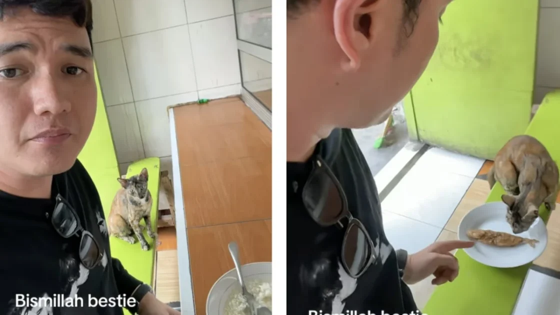 Aldi Taher Traktir Kucing hingga Manfaat Stop Ngopi Sore