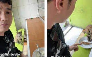 Aldi Taher Traktir Kucing hingga Manfaat Stop Ngopi Sore