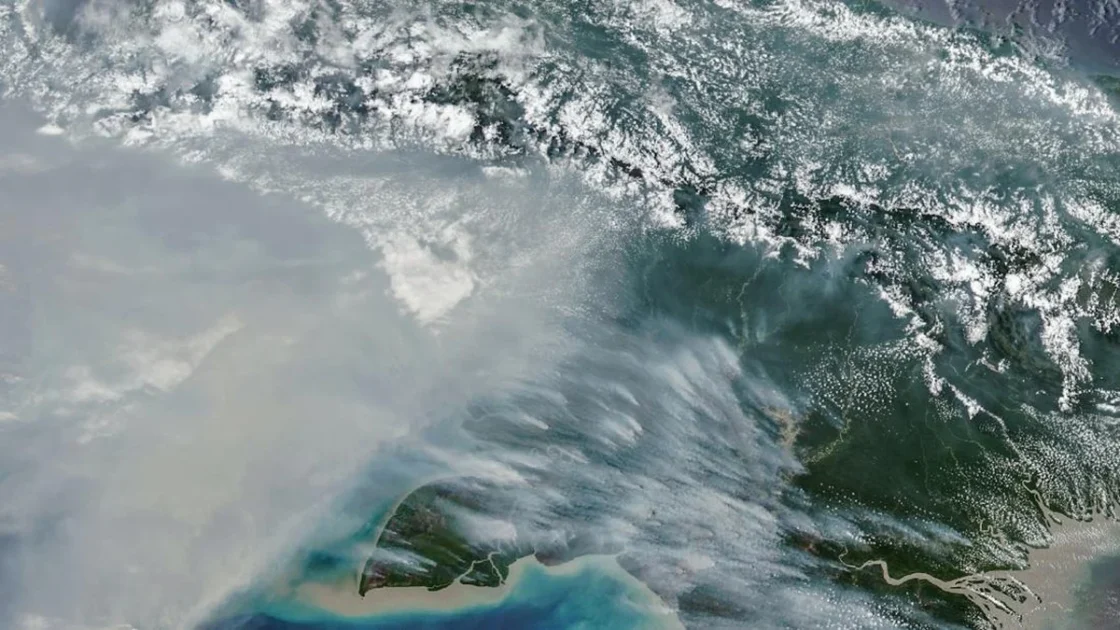 NASA Soroti Kebakaran Hutan di Papua Cetak Rekor Emisi Karbon