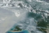 NASA Soroti Kebakaran Hutan di Papua Cetak Rekor Emisi Karbon