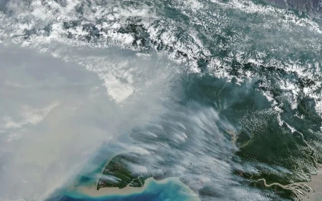 NASA Soroti Kebakaran Hutan di Papua Cetak Rekor Emisi Karbon