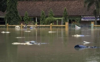 Banjir dan Longsor Terjang Banyumas, 3 SD Terdampak