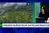 Dorong Hilirisasi Kelapa, RI Diminta Kurangi Ekspor Mentah