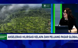 Dorong Hilirisasi Kelapa, RI Diminta Kurangi Ekspor Mentah