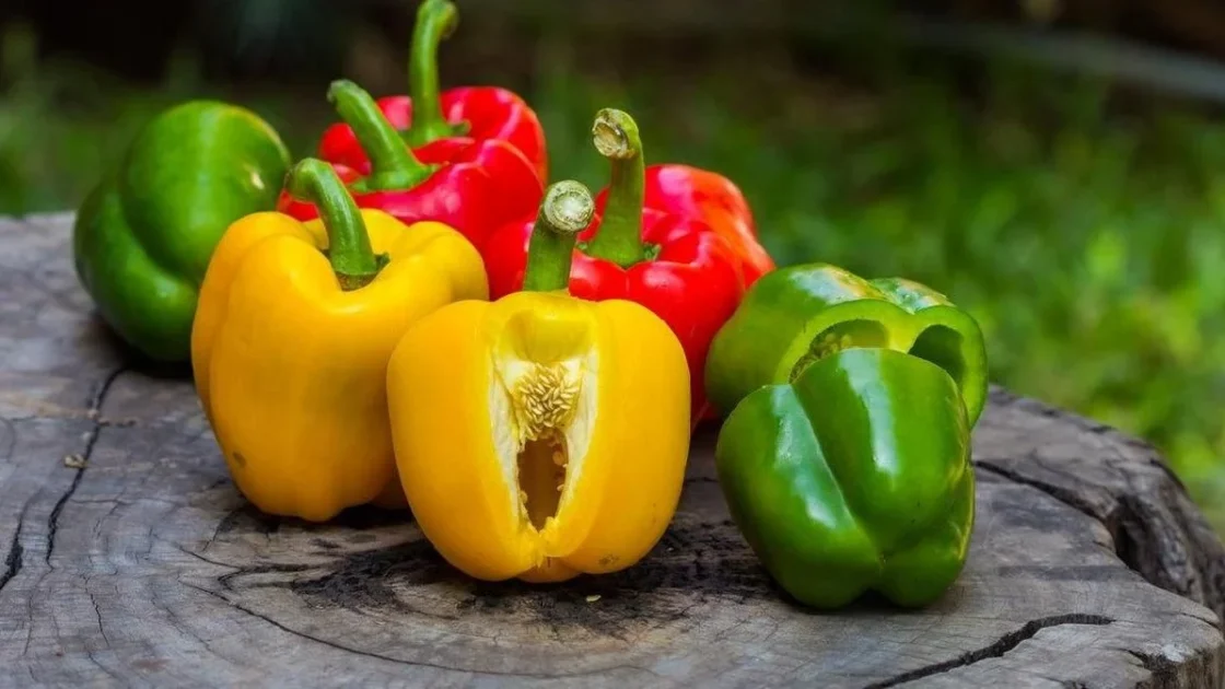 Arti Warna Paprika Merah, Kuning, dan Hijau Serta Nutrisinya