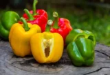 Arti Warna Paprika Merah, Kuning, dan Hijau Serta Nutrisinya