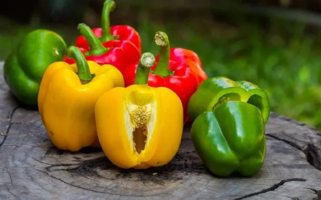 Arti Warna Paprika Merah, Kuning, dan Hijau Serta Nutrisinya