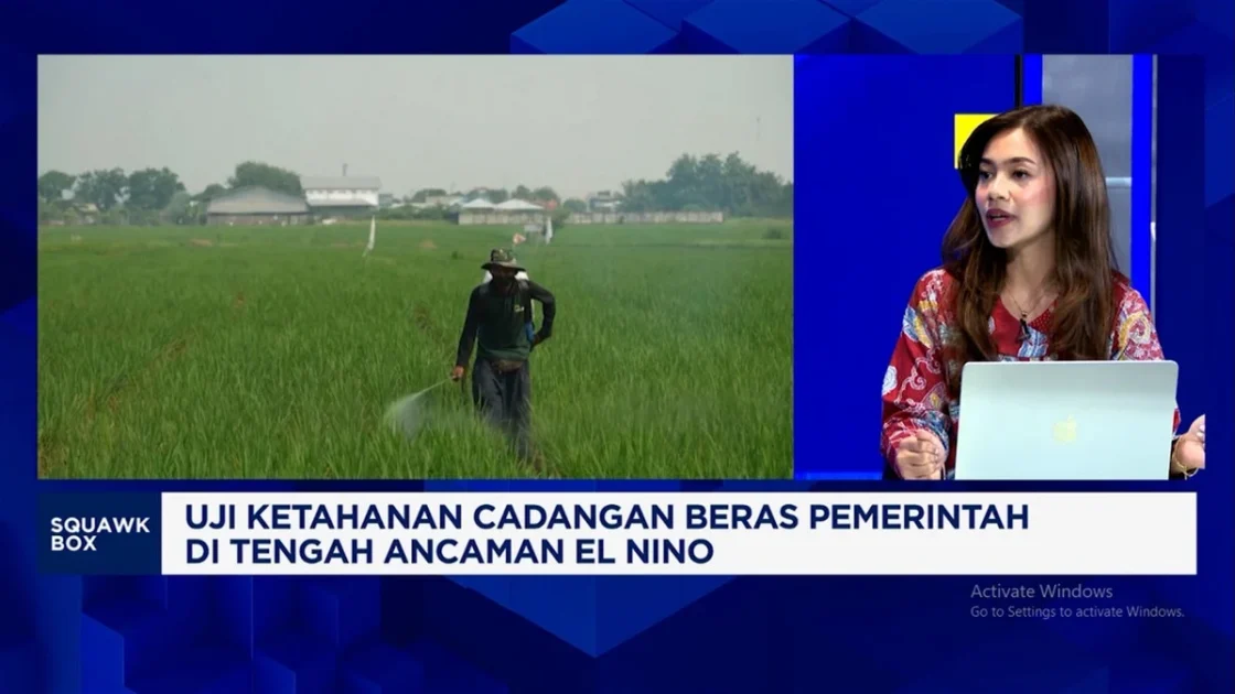 Stok Beras Pemerintah Tembus 4,8 Juta Ton, Petani Sejahtera?