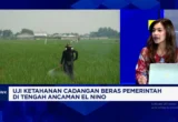 Stok Beras Pemerintah Tembus 4,8 Juta Ton, Petani Sejahtera?