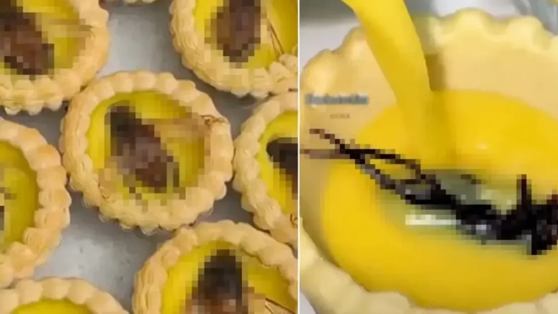 Egg Tart Topping Kumbang Air Viral di China