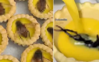 Egg Tart Topping Kumbang Air Viral di China