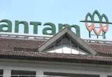 Kinerja Naik, Antam Kaji Opsi Buyback Saham