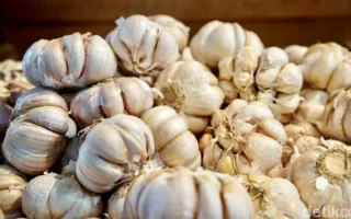 Atasi Impor Bawang Putih 95 Persen, Pemerintah Siapkan Jurus Ini