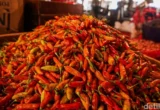 Harga Cabai Rawit Merah Masih Tinggi Tembus Rp 102 Ribu/Kg