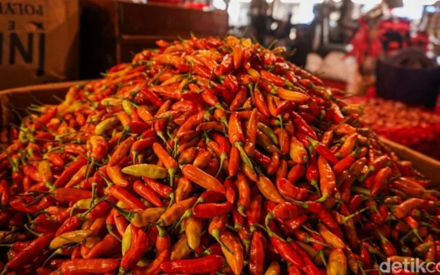 Harga Cabai Rawit Merah Masih Tinggi Tembus Rp 102 Ribu/Kg