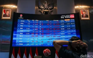 Saran Dino Patti Djalal Benahi Pasar Modal Usai Isu MSCI