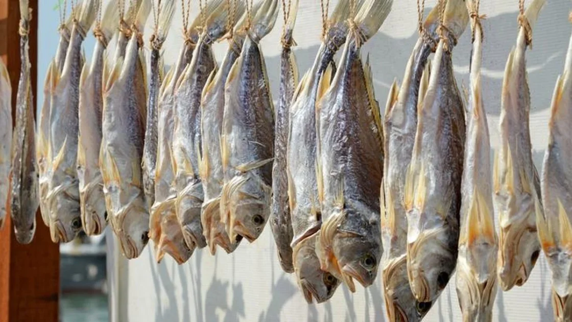 Proses Bikin Ikan Asin Alami Tanpa Bahan Kimia Berbahaya