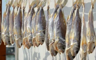 Proses Bikin Ikan Asin Alami Tanpa Bahan Kimia Berbahaya