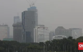Pemprov DKI Catat Penurunan Konsentrasi Polutan di Jakarta