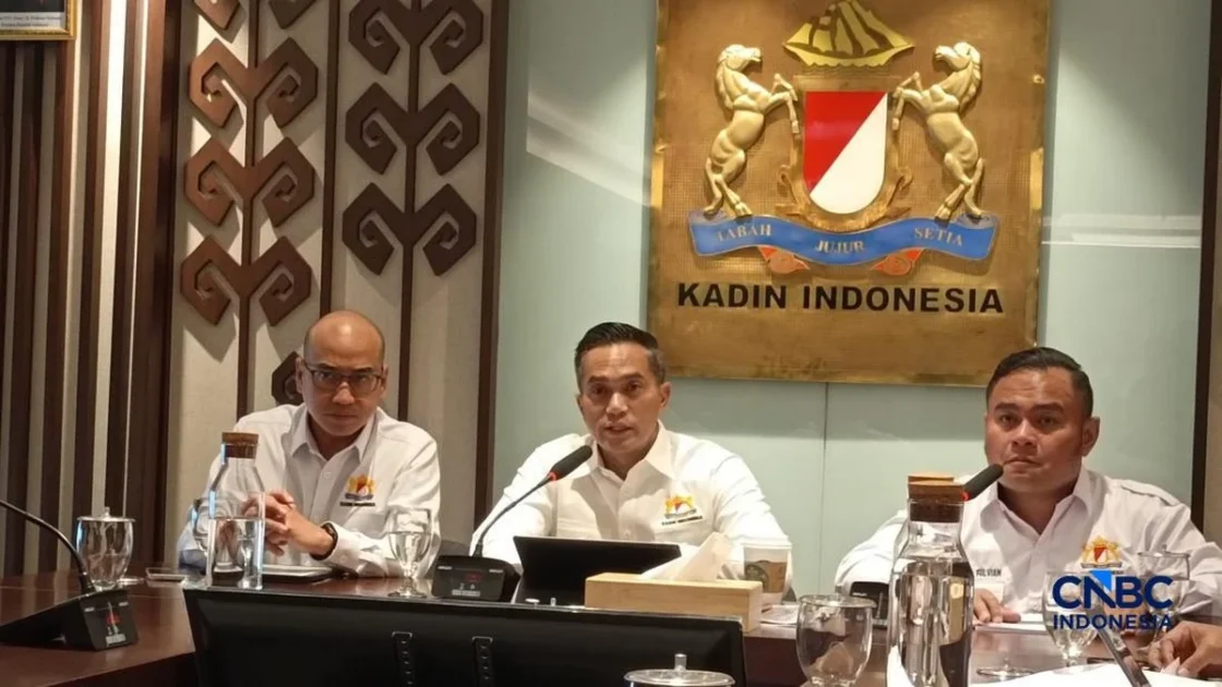 Anindya Bakrie Respons Kemarahan Malaysia Soal Asap Karhutla