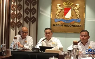 Anindya Bakrie Respons Kemarahan Malaysia Soal Asap Karhutla