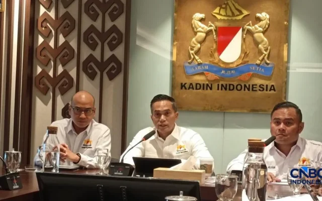 Anindya Bakrie Respons Kemarahan Malaysia Soal Asap Karhutla