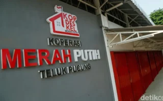 Koperasi Desa Jadi Pusat Pengumpulan Minyak Jelantah Bioavtur