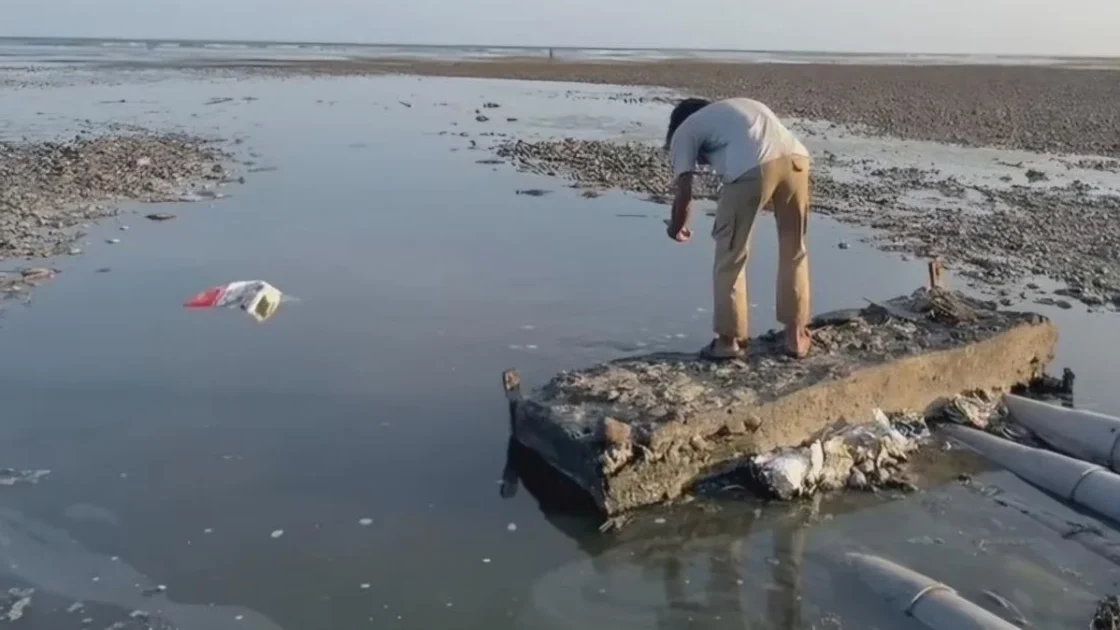 Pemprov NTB Ancam Sanksi Berat Limbah Tambak Udang Sumbawa