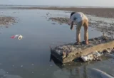 Pemprov NTB Ancam Sanksi Berat Limbah Tambak Udang Sumbawa