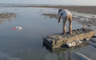 Pemprov NTB Ancam Sanksi Berat Limbah Tambak Udang Sumbawa