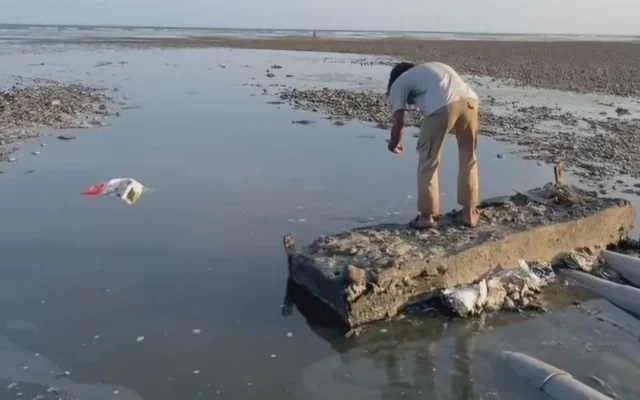 Pemprov NTB Ancam Sanksi Berat Limbah Tambak Udang Sumbawa