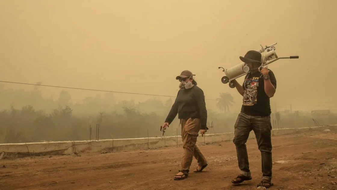 Kabut Asap Karhutla Ancam Serangga Penopang Sawit