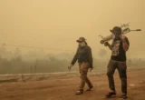 Kabut Asap Karhutla Ancam Serangga Penopang Sawit