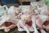 Bolehkah Makan Ampela Ayam Setiap Hari? Ini Kata Ahli
