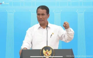 Mentan Lapor Prabowo 500 Ribu Ha Rawa Disulap Jadi Sawah