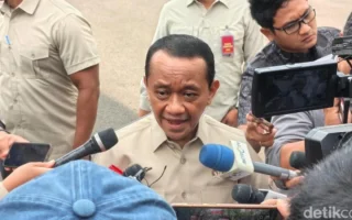 Terungkap Ada Perusahaan Asing Tambang di Lahan Sawit