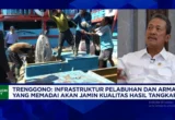Menteri KKP Bangun 40 Ribu Budi Daya Ikan Mini RAS Dukung MBG