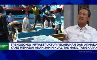 Menteri KKP Bangun 40 Ribu Budi Daya Ikan Mini RAS Dukung MBG