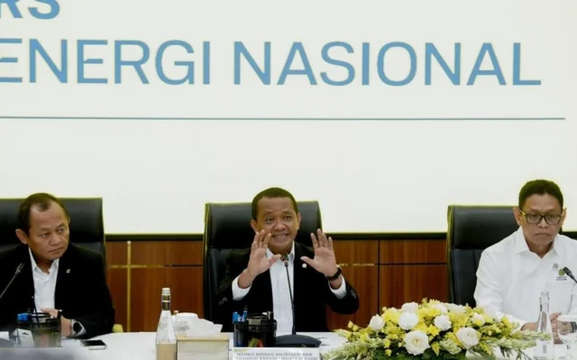 ESDM Selidiki Perusahaan Sawit Asing yang Tambang Tim