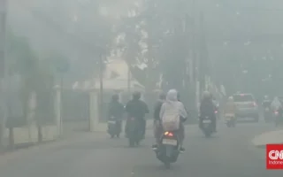 Emisi Karhutla RI 2026 Catat Rekor Buruk dalam 24 Tahun