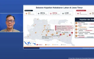 Karhutla Meluas di Jatim: 4 Gunung Terbakar & 5 Orang Tewas