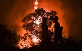 Karhutla di TN Berbak Sembilang Jambi Meluas