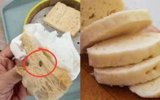Pembeli Temukan Kecoak di Roti, Respons Pemilik Warung Disorot