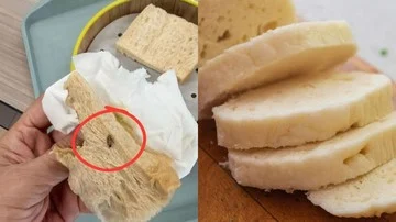 Pembeli Temukan Kecoak di Roti, Respons Pemilik Warung Disorot