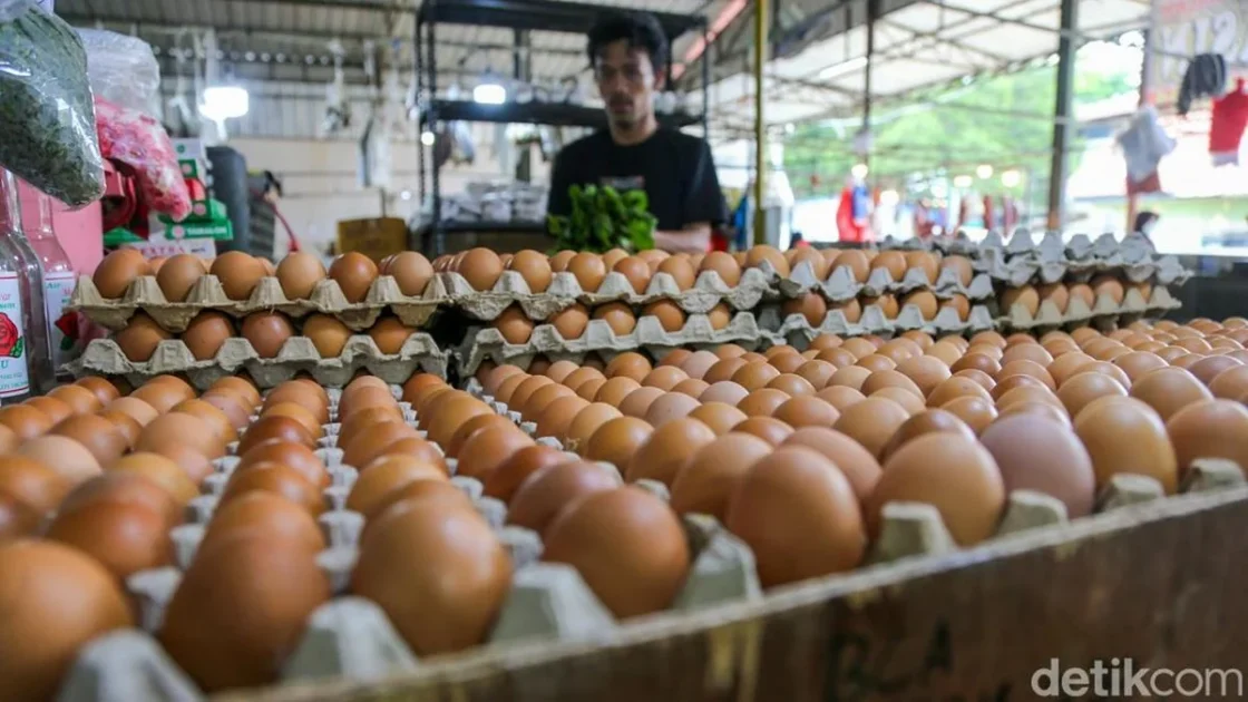 Mentan Ungkap Anomali Harga Telur: Stok Melimpah Harga Naik