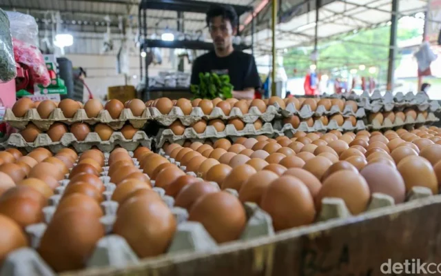 Mentan Ungkap Anomali Harga Telur: Stok Melimpah Harga Naik