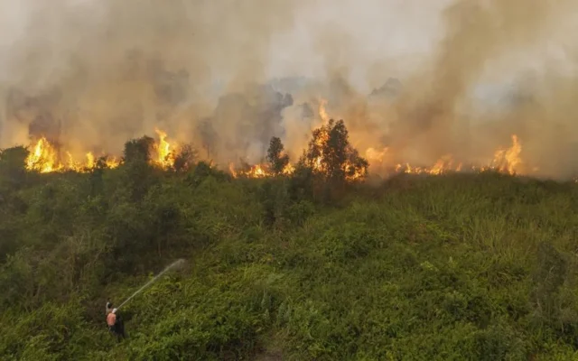 Kemenhut Bekukan Izin 6 Perusahaan Penyebab Karhutla