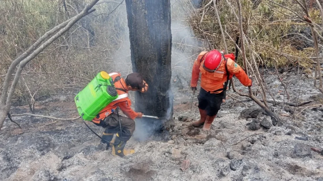 BNPB Ungkap Titik Api Karhutla yang Melanda Pulau Jawa