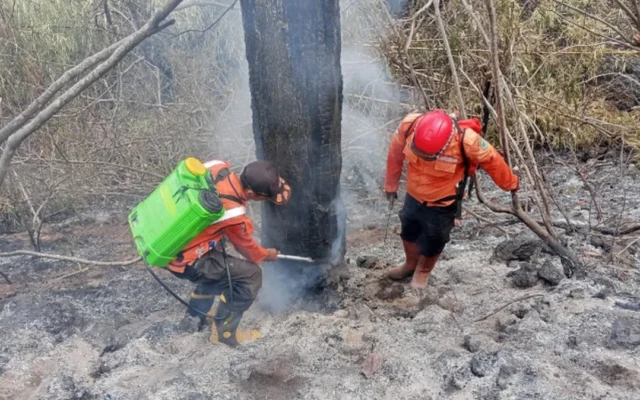 BNPB Ungkap Titik Api Karhutla yang Melanda Pulau Jawa
